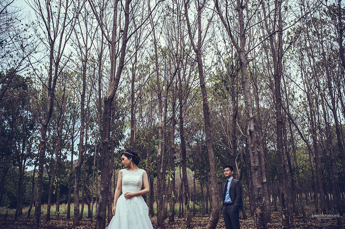 fotografo creativo 