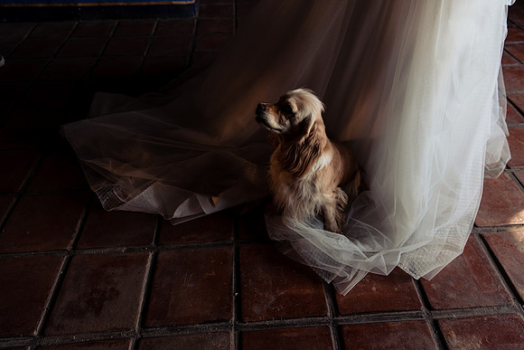 fotógrafo de bodas guadalajara
