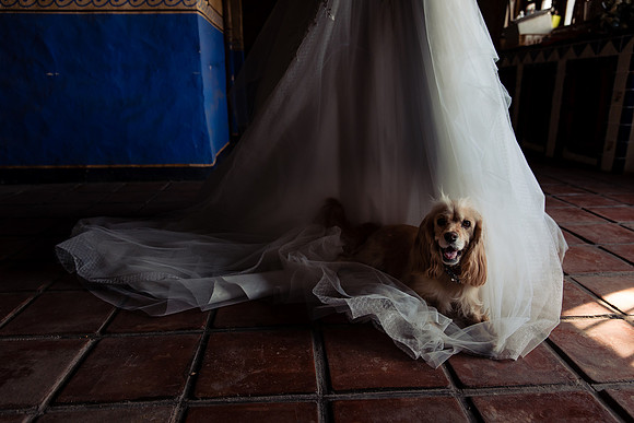 fotógrafo de bodas guadalajara