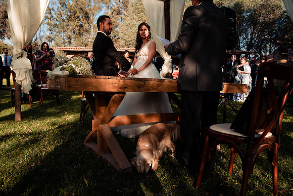 fotógrafo de bodas guadalajara