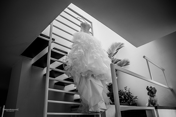 fotografo bodas guadalajara