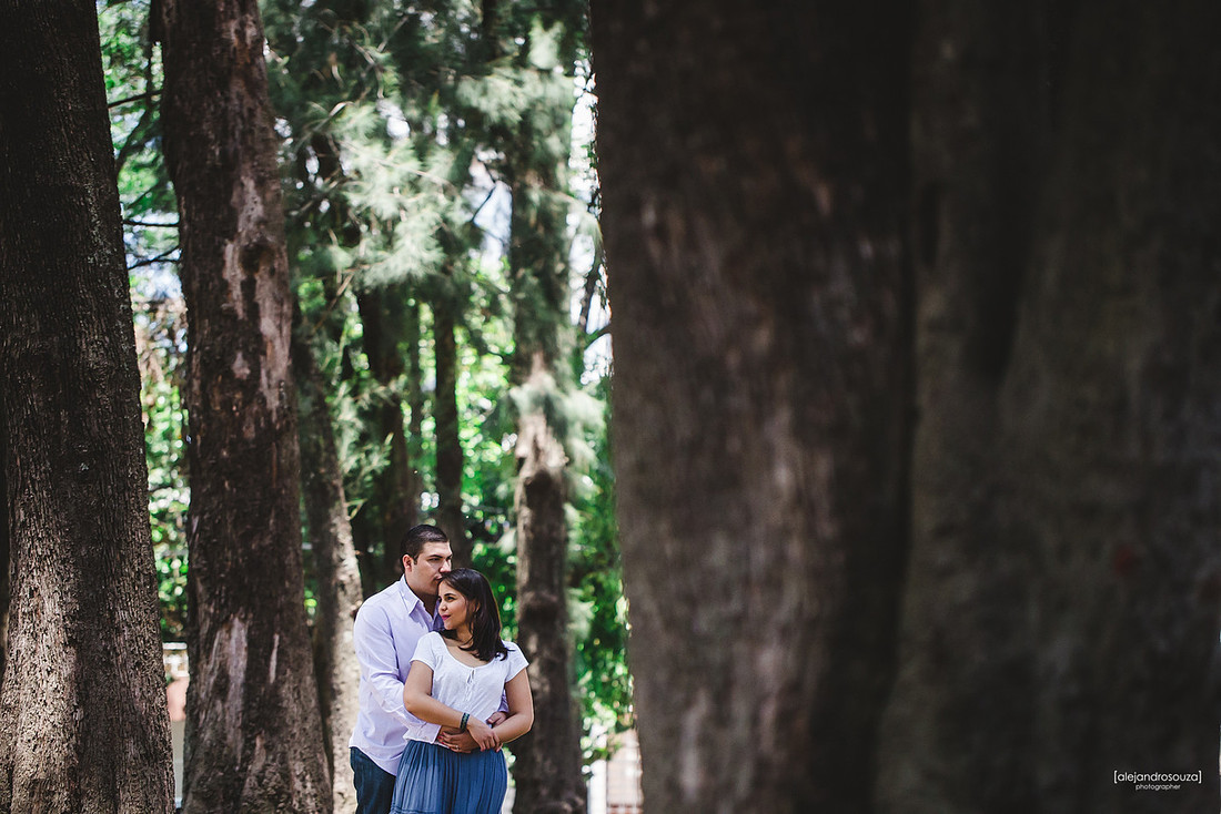 bodas guadalajara