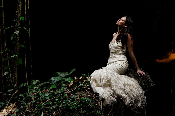 trash the dress