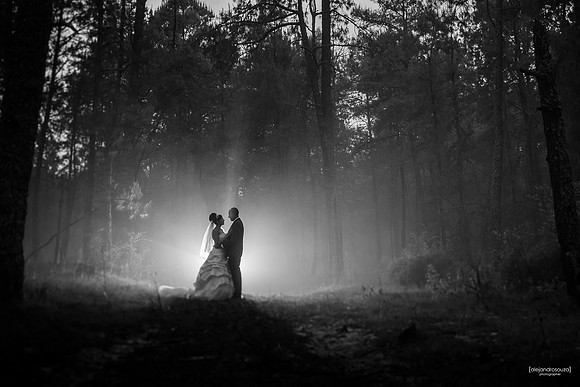 wedding photography