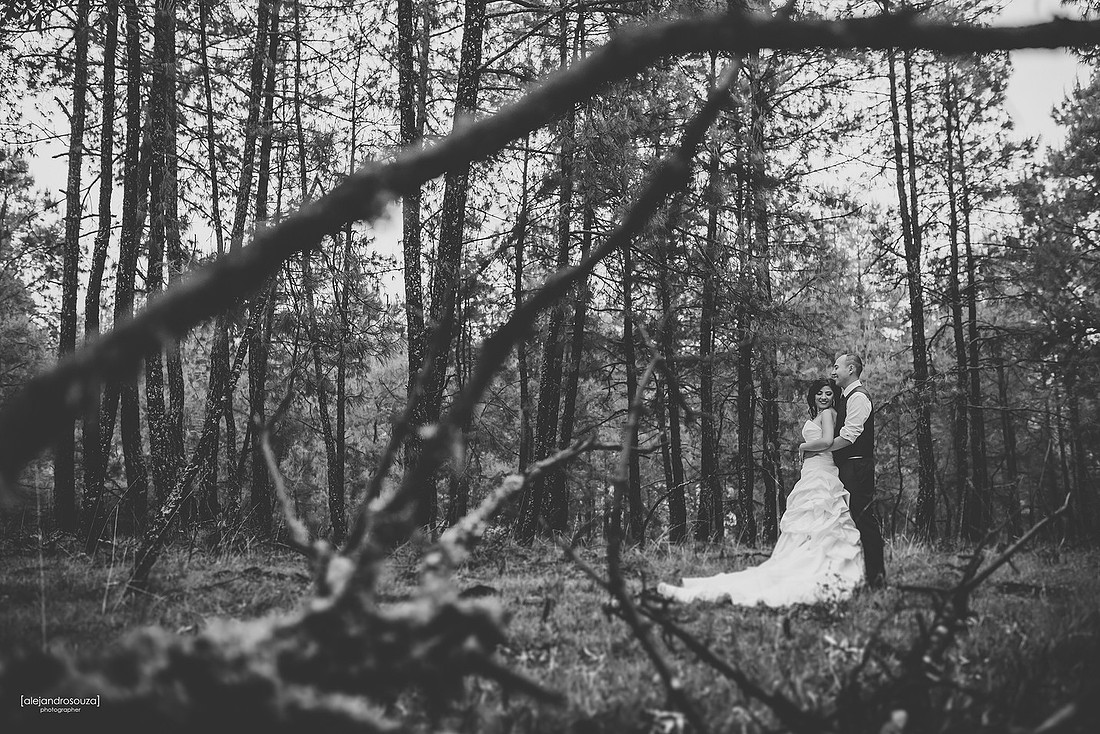 wedding photography