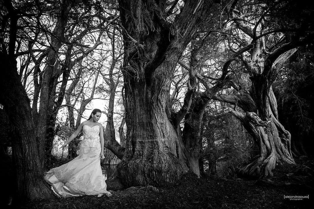 fotografo bodas guadalajara