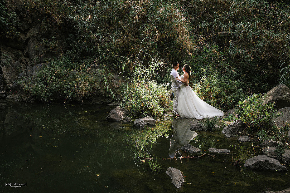 trash the dress