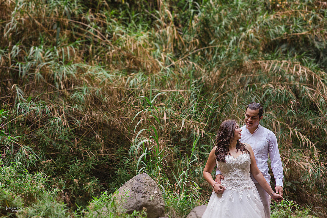 trash the dress