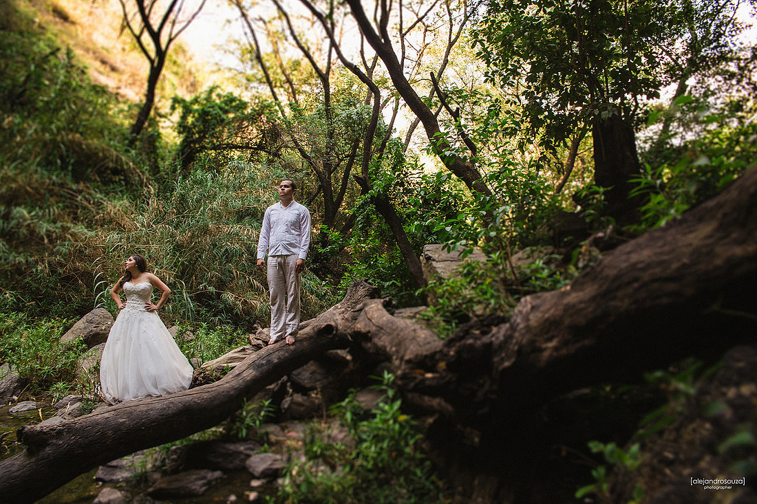 trash the dress