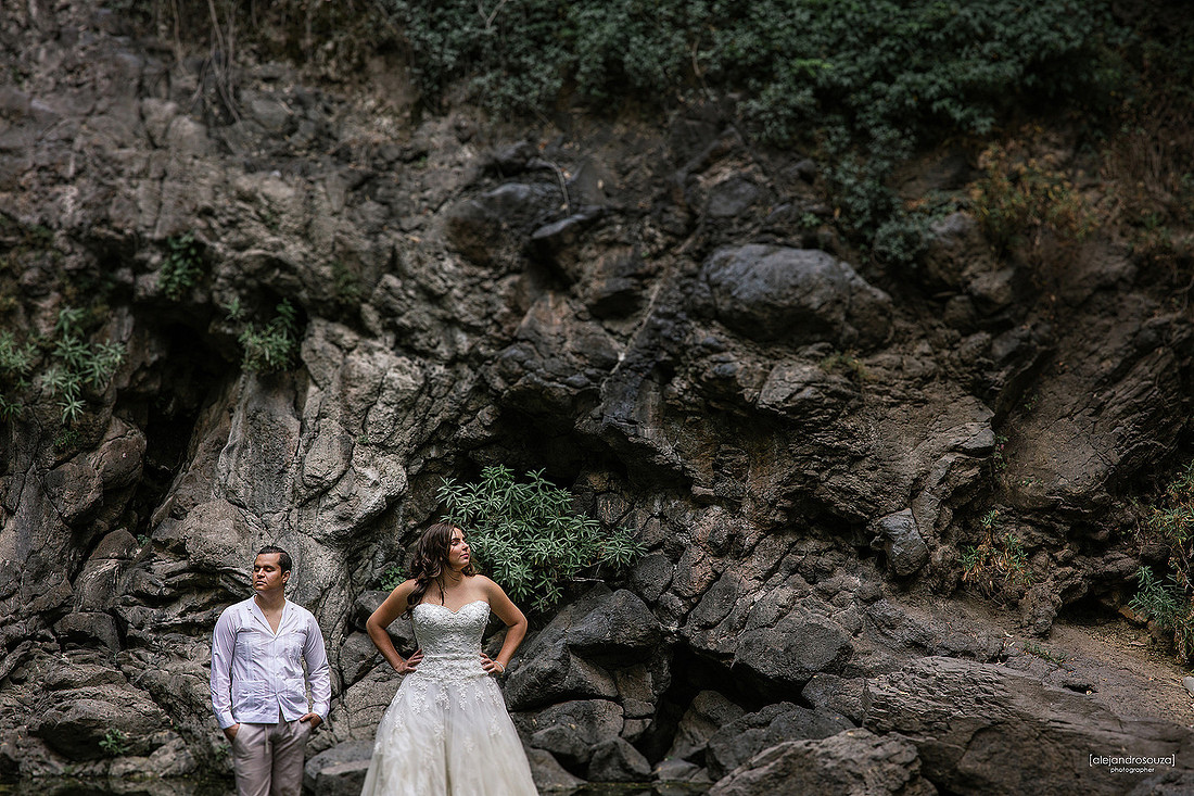 trash the dress