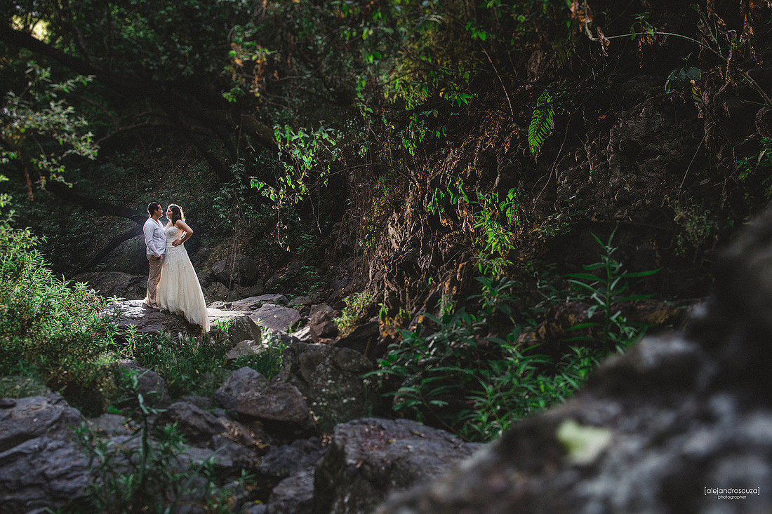 trash the dress