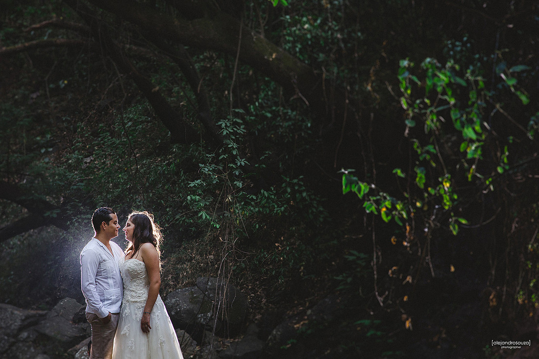 trash the dress