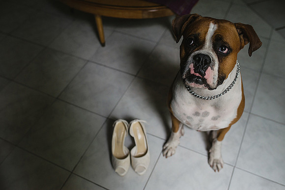 fotografo de bodas en guadalajara