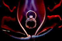 guadalajara wedding photographer
