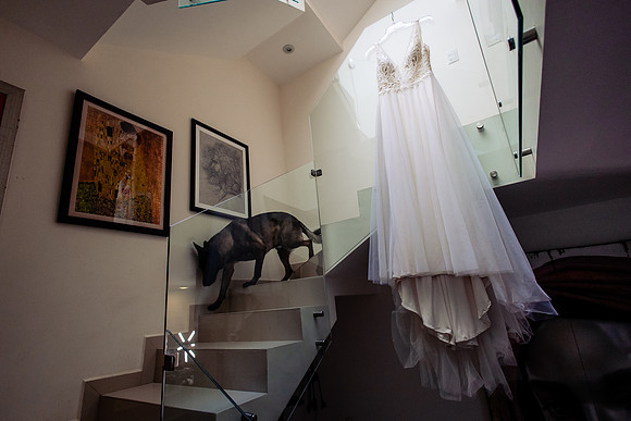 fotógrafo de bodas guadalajara