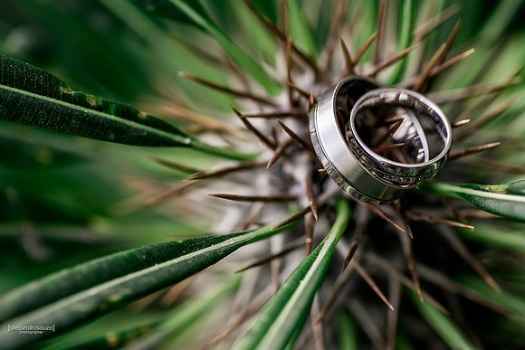 fotografo bodas guadalajara