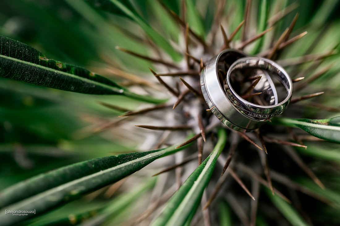 fotografo bodas guadalajara