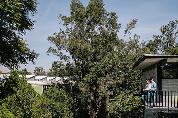 fotógrafo de bodas en guadalajara