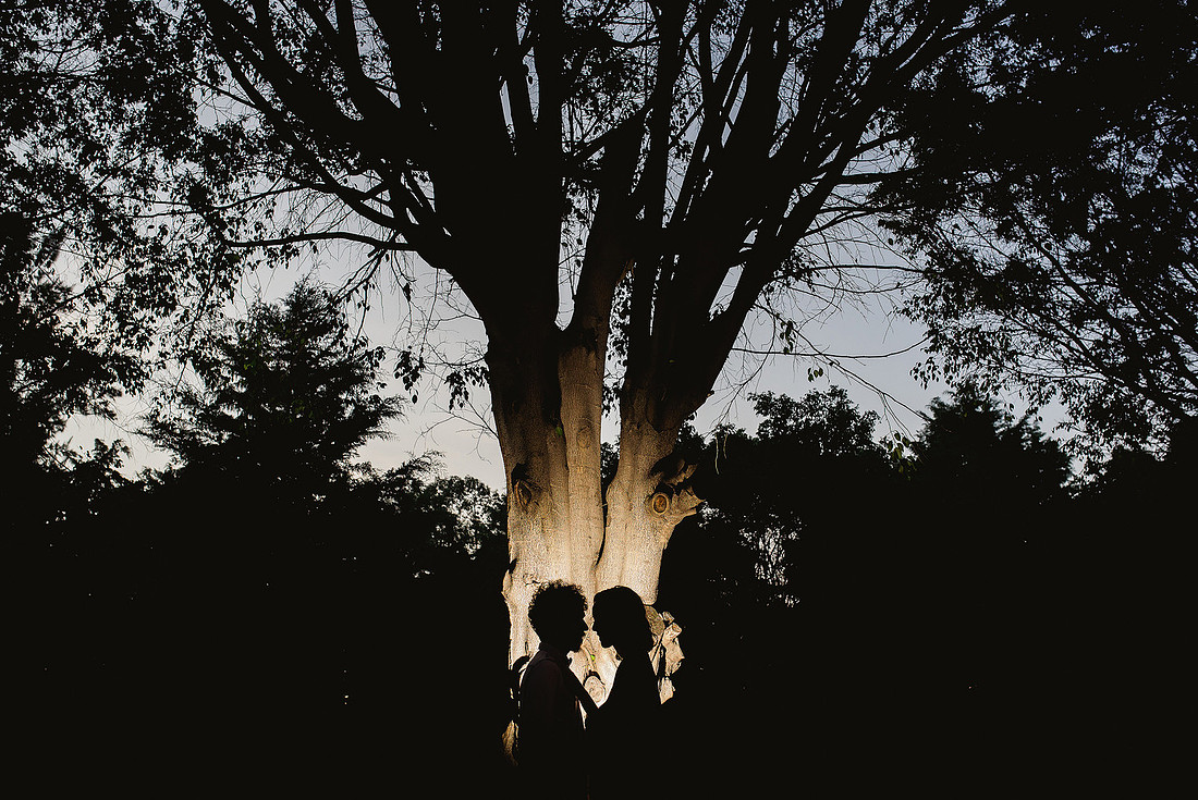 bodas guadalajara