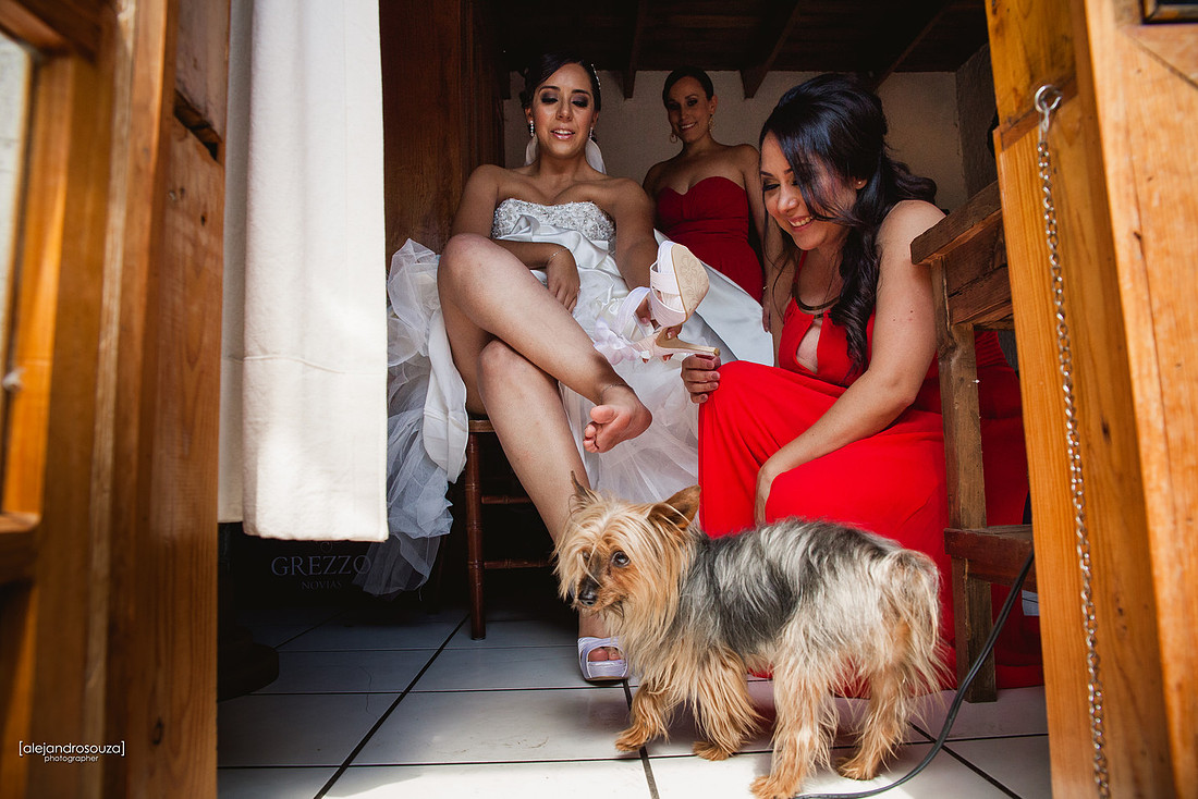 fotografo bodas guadalajara