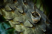 fotógrafo bodas guadalajara