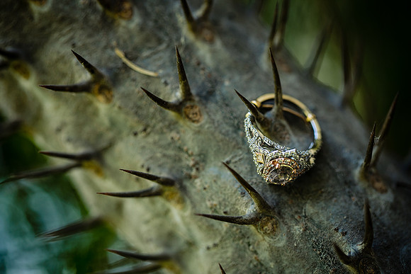 fotógrafo bodas guadalajara