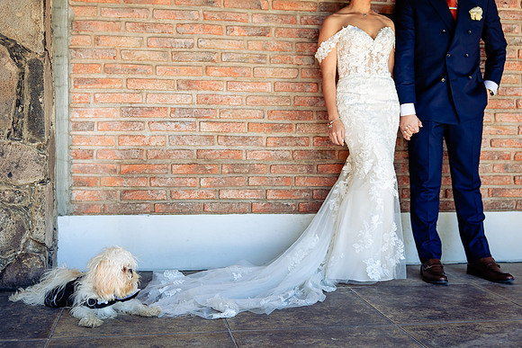 fotógrafo de bodas guadalajara