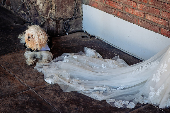 fotógrafo de bodas guadalajara