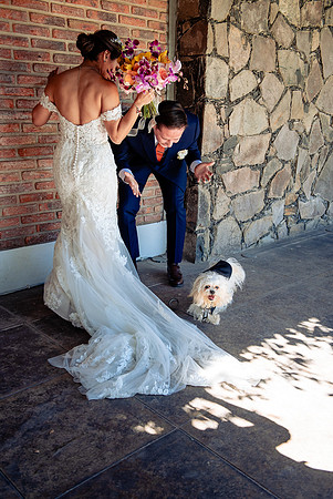 fotógrafo de bodas guadalajara