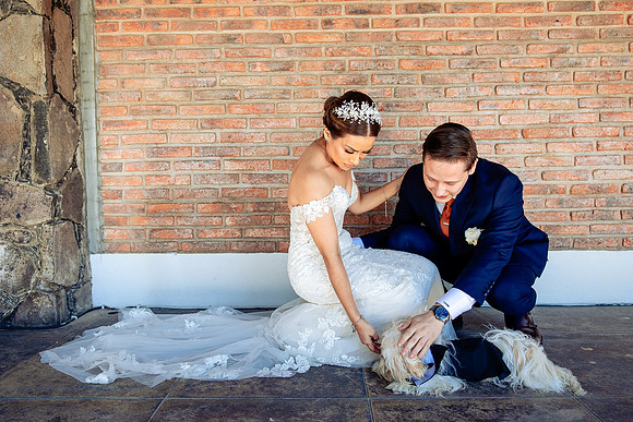 fotógrafo de bodas guadalajara