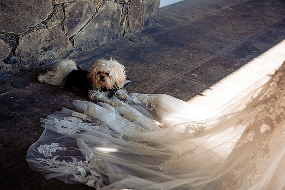 fotógrafo de bodas guadalajara