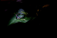fotógrafo de bodas puerto vallarta