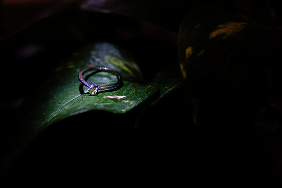 fotógrafo de bodas puerto vallarta