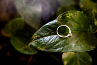 fotógrafo de bodas puerto vallarta