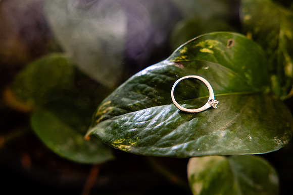 fotógrafo de bodas puerto vallarta