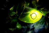 fotógrafo de bodas puerto vallarta
