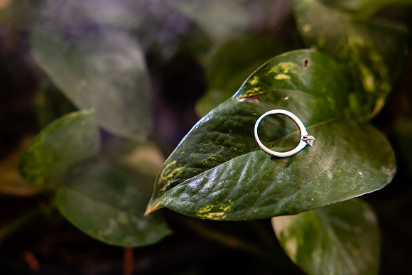 fotógrafo de bodas puerto vallarta