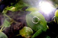 fotógrafo de bodas puerto vallarta