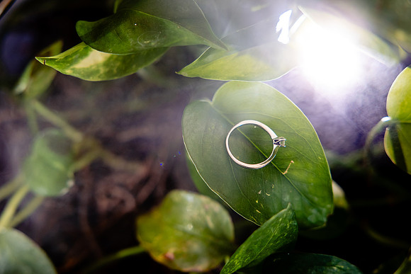 fotógrafo de bodas puerto vallarta