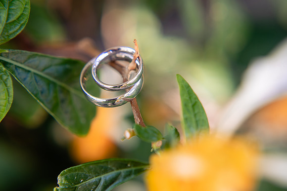fotógrafo de bodas guadalajara