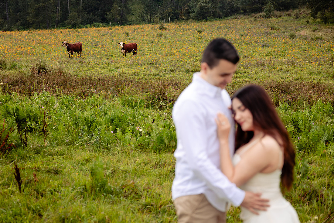 fotógrafo bodas guadalajara