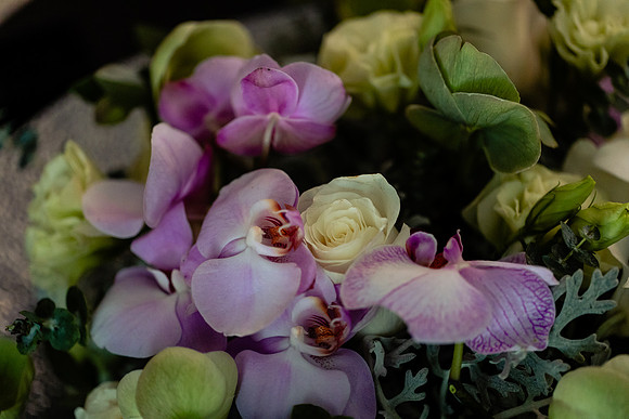 fotógrafo de bodas guadalajara