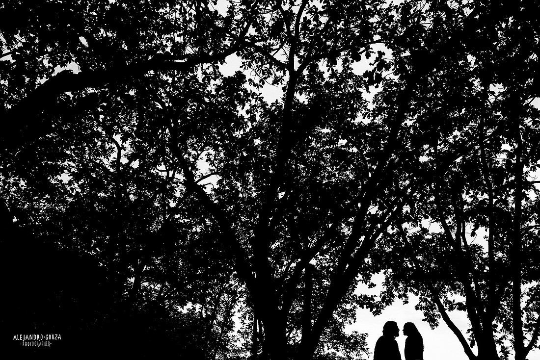 fotógrafo de boda en guadalajara
