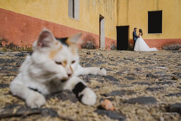 fotógrafo de bodas en guadalajara