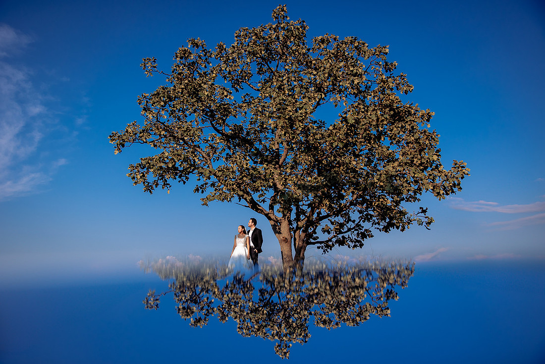 fotógrafo boda