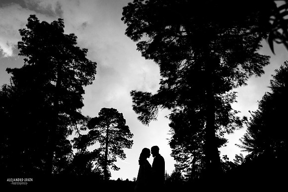 fotógrafo de bodas en guadalajara