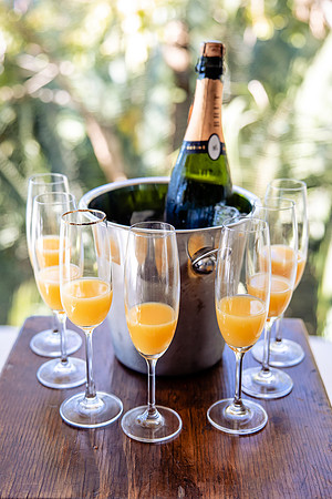 puerto vallarta wedding photographer