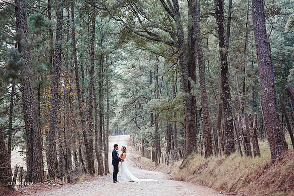 fotógrafo de bodas en guadalajara