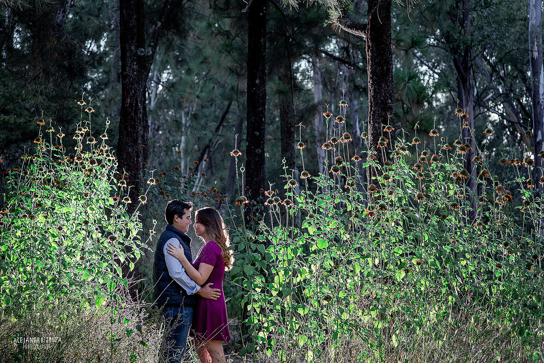 bosque los colomos 