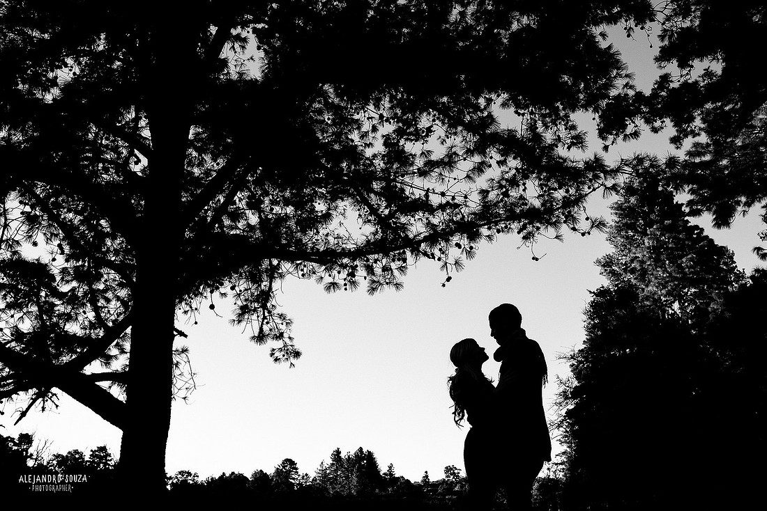 fotógrafo de boda